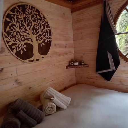 La Roulotte Du Petit Paradis แซ็งต์-เรมีย์-เดอ-โพรวองซ์ ภายนอก รูปภาพ