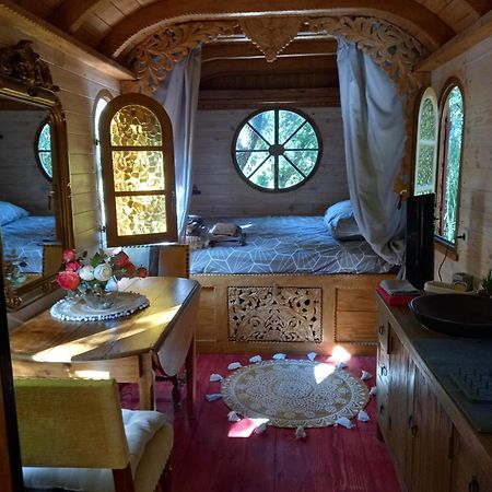 La Roulotte Du Petit Paradis แซ็งต์-เรมีย์-เดอ-โพรวองซ์ ภายนอก รูปภาพ