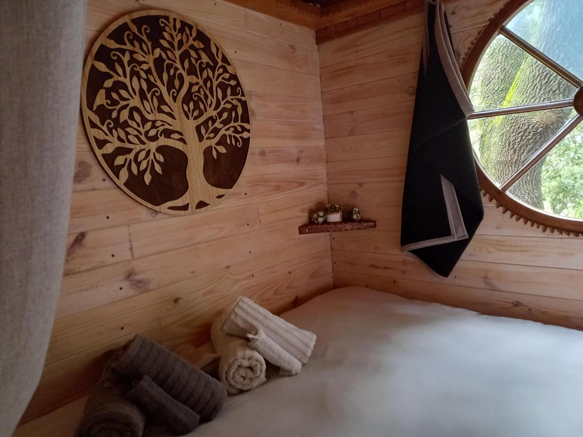 La Roulotte Du Petit Paradis แซ็งต์-เรมีย์-เดอ-โพรวองซ์ ภายนอก รูปภาพ