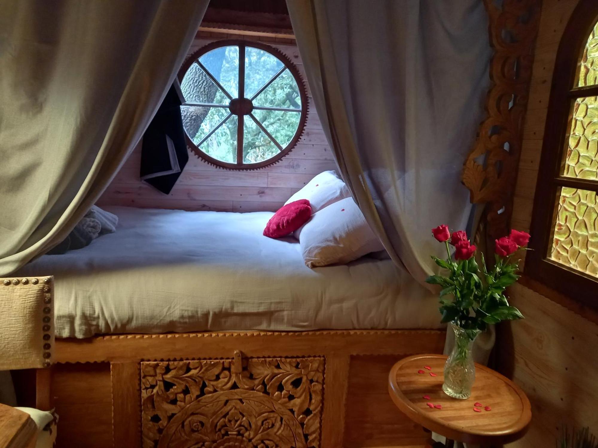 La Roulotte Du Petit Paradis แซ็งต์-เรมีย์-เดอ-โพรวองซ์ ภายนอก รูปภาพ