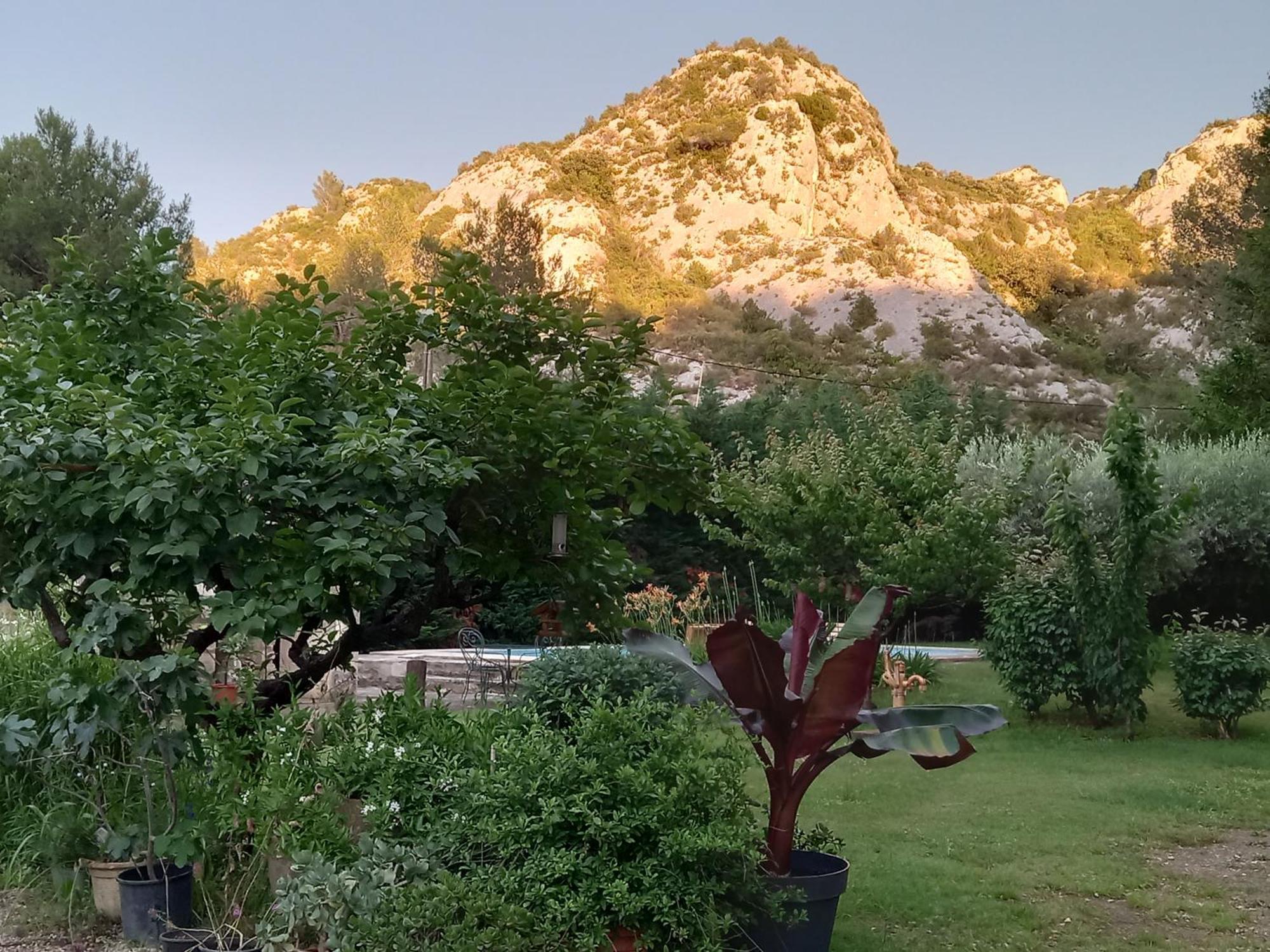 La Roulotte Du Petit Paradis แซ็งต์-เรมีย์-เดอ-โพรวองซ์ ภายนอก รูปภาพ