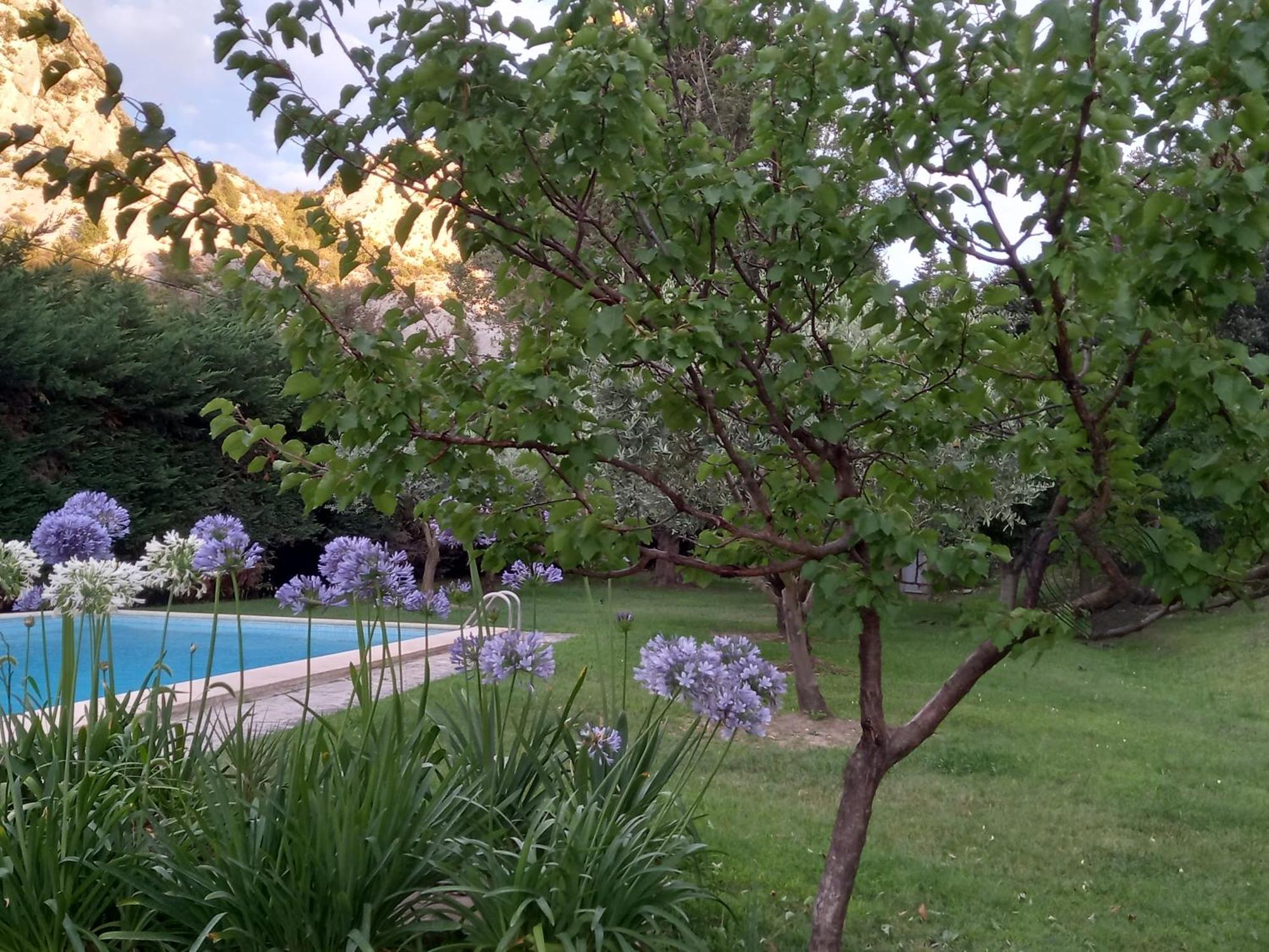 La Roulotte Du Petit Paradis แซ็งต์-เรมีย์-เดอ-โพรวองซ์ ภายนอก รูปภาพ